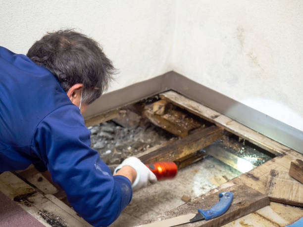 Best Mold Testing  in Juniper Canyon, OR