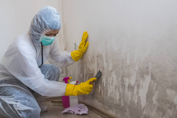 Best Crawl Space Mold Removal  in Juniper Canyon, OR