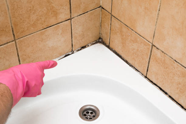 Best Mold Cleaning Services  in Juniper Canyon, OR